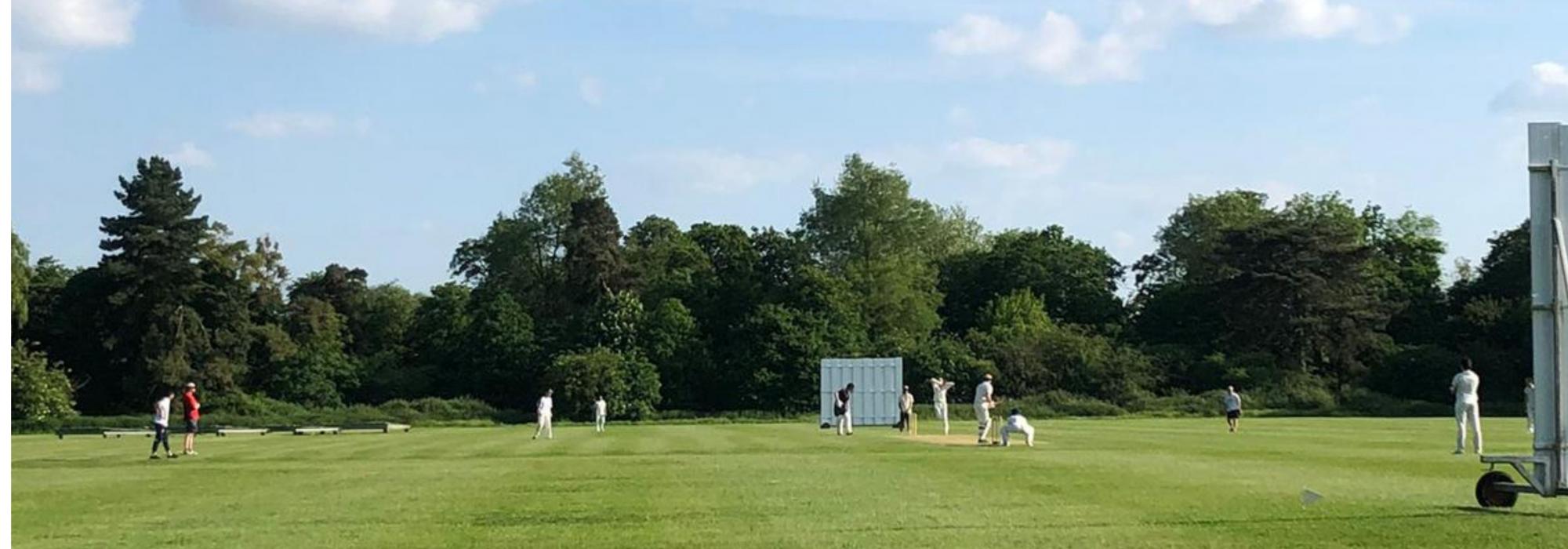 A sunny day with a cricket pitch with nine players in whites playing cricket, and two spectators