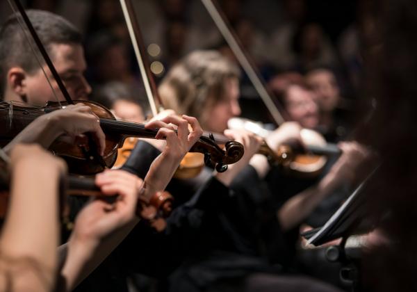 Close up shot of violin players in black concert wear poised to play